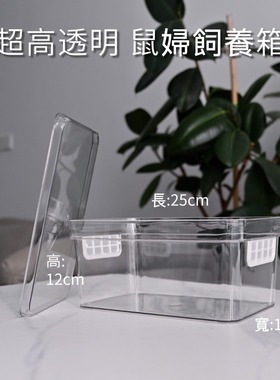 鼠婦飼養箱鼠婦飼養盒鼠妇饲养箱鼠妇饲养盒isopod terrarium