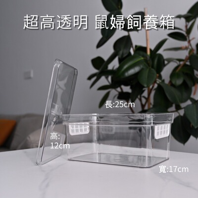超好看防蟲鼠婦飼養盒透氣通風
