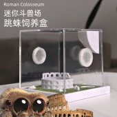 跳蛛饲养盒佛罗里达跳蛛饲养盒蜘蛛饲养盒佛跳饲养盒跳蛛生态盒