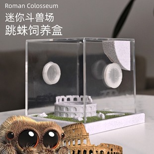 跳蛛饲养盒佛罗里达跳蛛饲养盒蜘蛛饲养盒佛跳饲养盒跳蛛生态盒