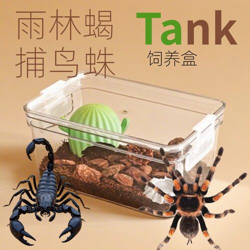 超透明蝎子蜘蛛蜗牛寄居蟹饲养箱