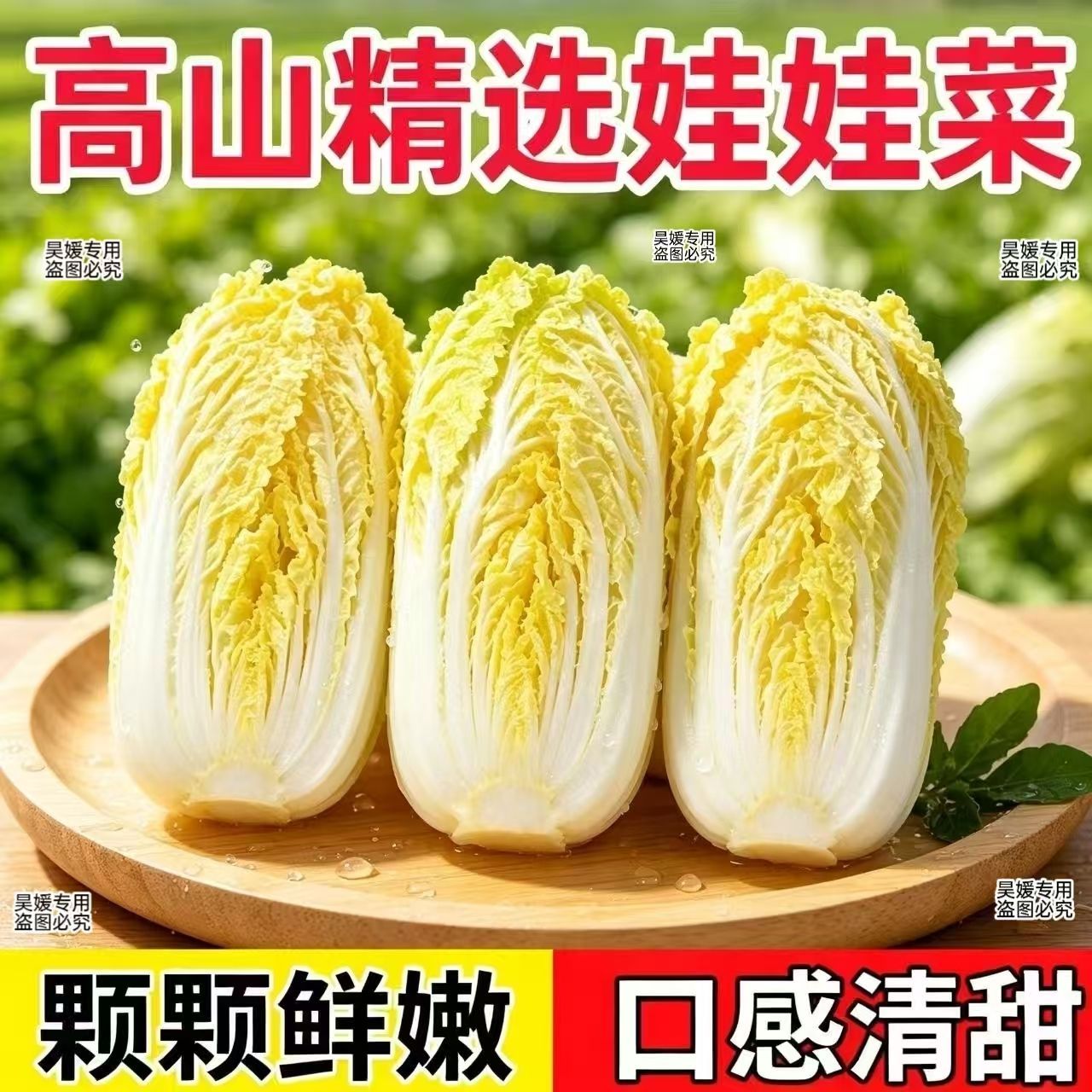 云南高山露天娃娃菜嫩脆新鲜蔬菜叶菜类