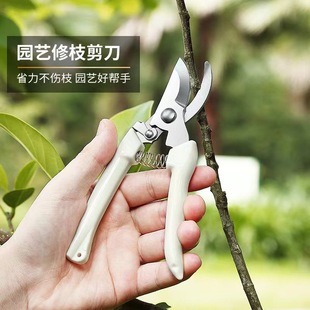 剪树枝剪刀专用花剪园艺园林修枝园丁剪嫁接强力采摘省力修水果树
