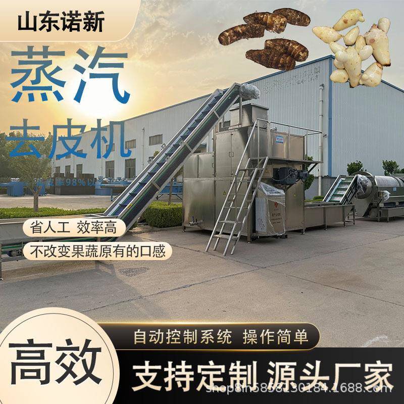 诺新红薯蒸汽去皮机 商用大型葡萄番茄去软皮流水线