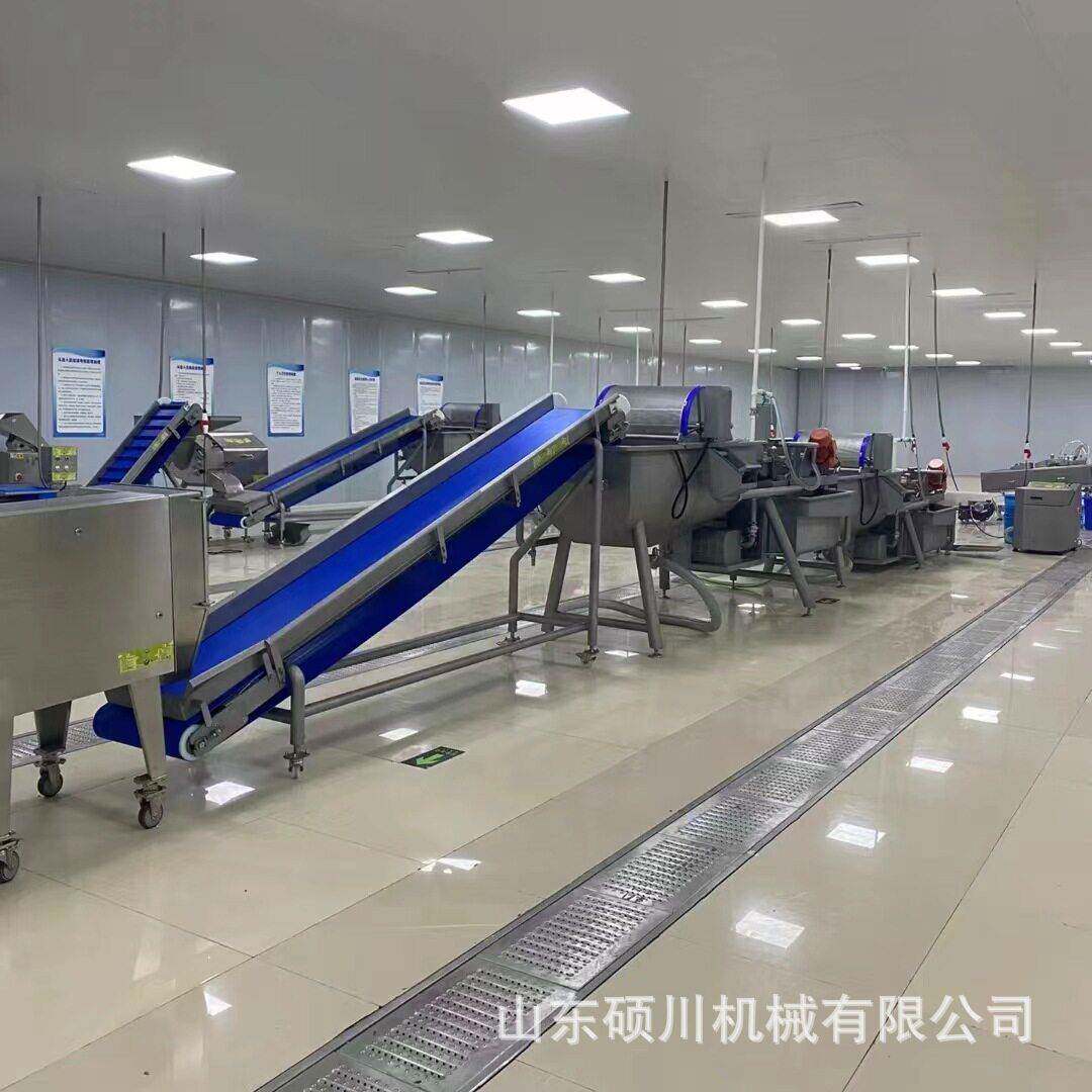 速冻荠菜清洗漂烫全套生产线 半成品净菜加工设备 蔬菜涡流清洗机