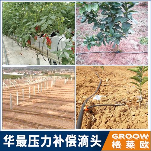 新款 华最压力补偿式滴头 滴灌头 可调可拆滴头紊流器稳流微喷头