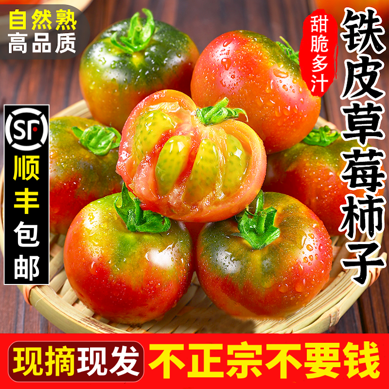 铁皮草莓柿子丨酸甜可口5斤装！