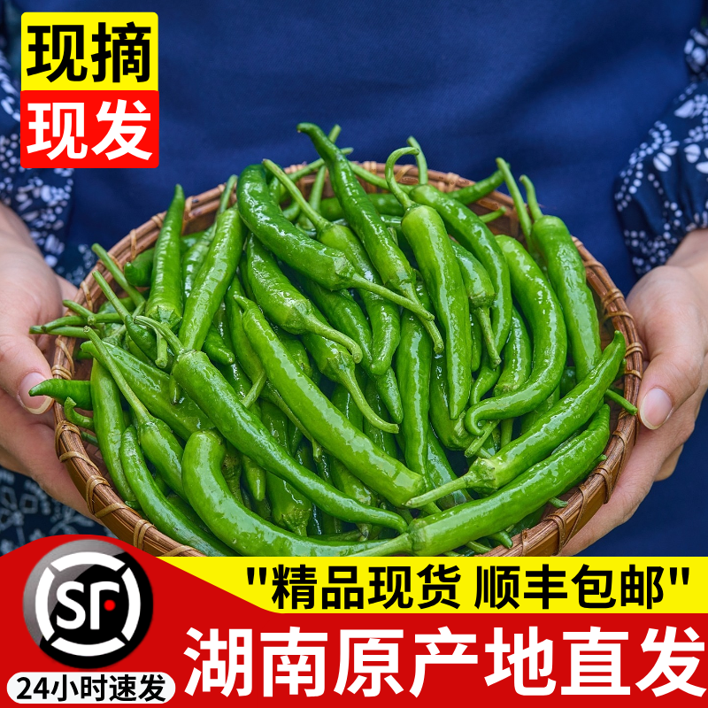 樟树港辣椒当季现摘新鲜湖南薄皮嫩青椒自种岳阳正宗蔬菜顺丰整箱