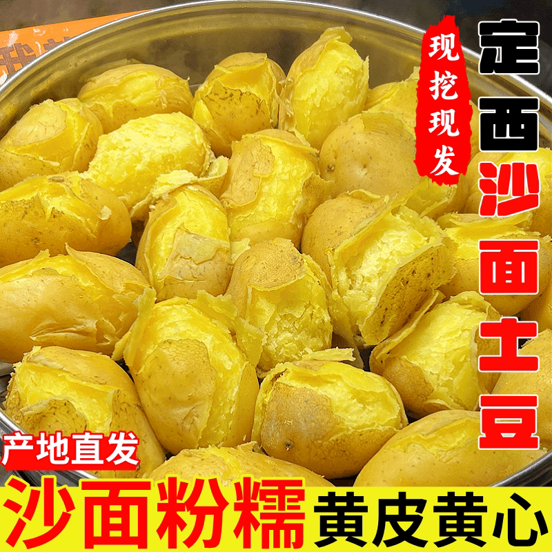 正宗定西沙面土豆!现挖10斤装