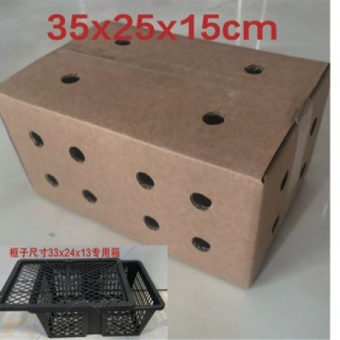 三层特硬开孔  35x25x15 活体宠物透气打孔不闷热外箱 13个一件