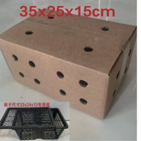 三层特硬开孔  35x25x15 活体宠物透气打孔不闷热外箱 13个一件