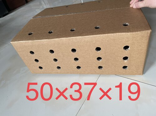50x37x19打孔纸箱开孔纸箱特硬透气圆孔活体专用直接装鸽子笼鸡笼