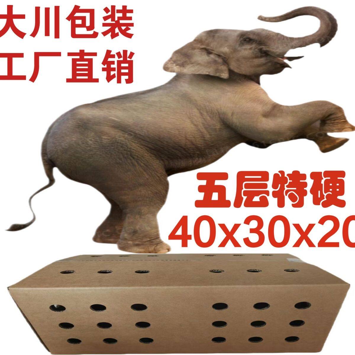 透气大小打孔枕笼鸽子专用运输纸箱宠物鸽子猫咪仓鼠活体包装箱