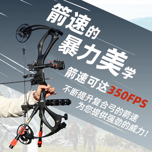 AGS碳30复合弓箭高精度野外射手狩专业射击箭超远碳马赫纤维弓箭