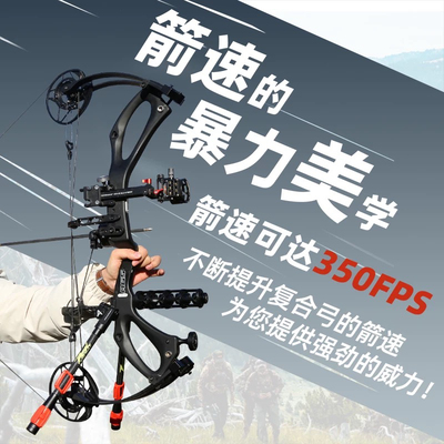 AGS碳30复合弓箭高精度野外射手狩专业射击箭超远碳马赫纤维弓箭