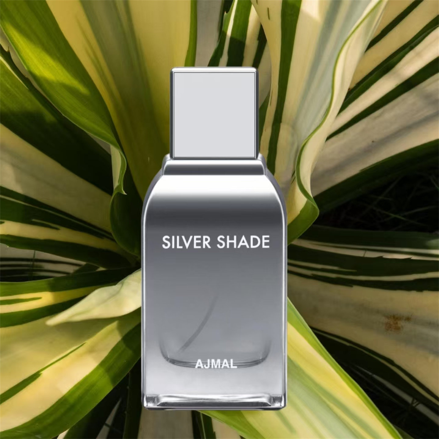 Ajimal阿基马尔檀木香香水小样