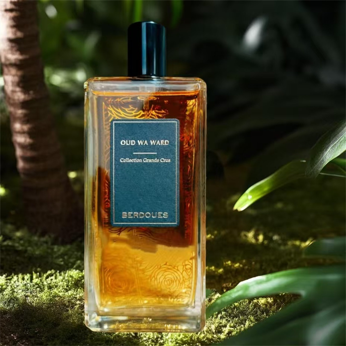Parfums berdoues波多斯之香香水阿萨姆红茶巴西雨林试香小样 - 实物图