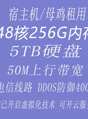 湖北高配宿主机VPS云主机专用大内存母机高防服务器租用物理机256