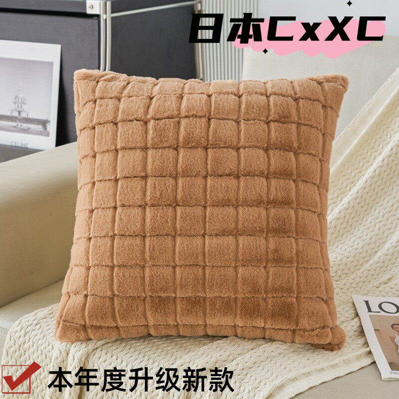 北欧简约高级感抱枕沙发客厅靠枕靠背枕套枕芯可拆洗酒店飘窗ES35