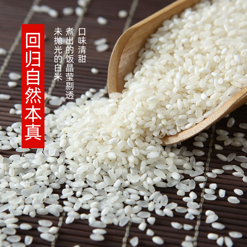 米蒂辽星白米东北大米5kg晶莹剔透颗粒饱满高品质软糯香甜有嚼劲