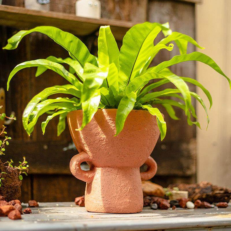 掬涵水泥花盆花器覆古透气肉肉植物兰花盆栽杂货阳台花园装饰摆饰,家居饰品,花盆,淘宝优惠券,粉丝福利购,淘宝优惠卷