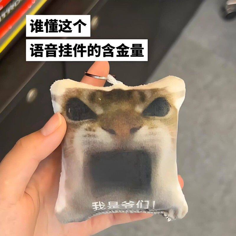 我是爷们按压语音挂件搞笑抽象发声包包挂件钥匙扣表情包礼物礼品