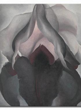 黑色鸢尾花GeorgiaO