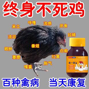 鸡药禽一滴鸡鸭鹅感冒拉稀药禽类急救片鸡药大全特效消炎气喘专用