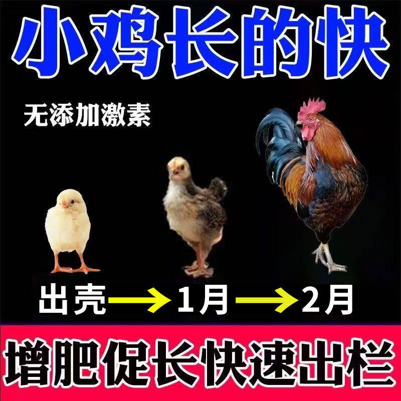 肉禽猛长素鸡鸭鹅鹌鹑鸽快速增肥增重采食多开胃促生长过料少禽用