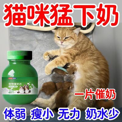 宠物催奶片猫狗下乳猫犬