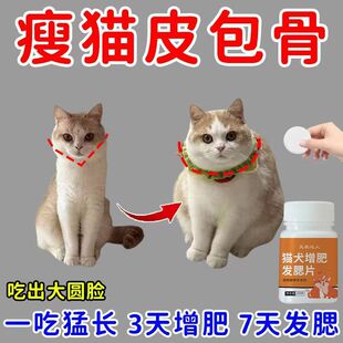猫咪增肥发腮片宠物爆毛爆腮营养补充促进发育长肉催肥长胖壮骨