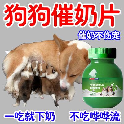 宠物催奶片猫狗下乳猫犬