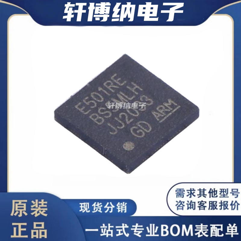 GD32E501REL7储存器芯片