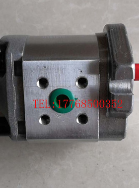 新款CBW-F204 CBW-F205 CBW-F206 CBW-F202 AFP/ALP齿轮泵 液包邮