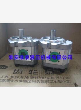 新款CBK1016-B1FR CBK1016 B1FL A1FL A1FR齿轮泵包邮