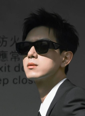 普家墨镜男李现潮流时尚复古显瘦防紫外线遮阳韩版高级感太阳镜女