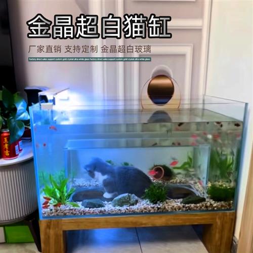 定制金晶超白玻璃猫咪电视机缸内外鱼缸定做客厅家用大中小长方形