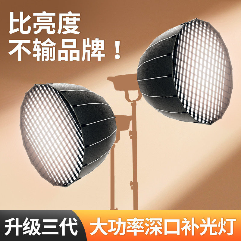 直播补光灯室内影棚拍照专业led摄影灯主播美颜专用直播间球形深