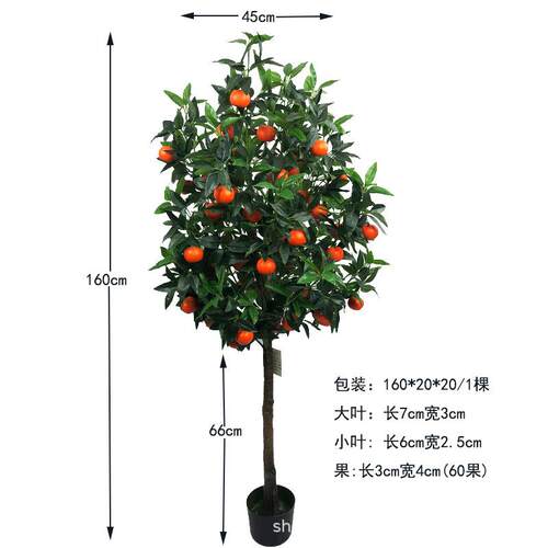 仿真水果橘子砂树植绿水果仿真糖橘柿子XRS-251石榴客厅装饰拍厂