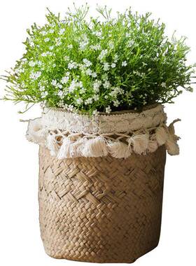 TC06041草编效器果水花泥花装饰流苏盆套盆土培摆盆栽艺术件