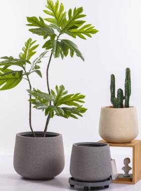 镁泥花盆家用大号发财外树龟背植芋绿盆栽水TC40119摆泥花器户庭