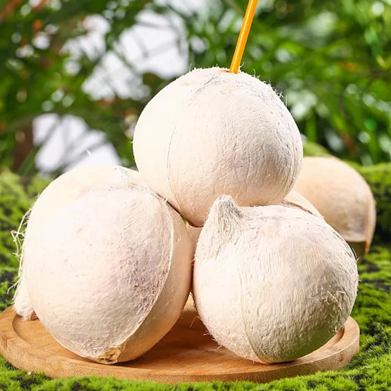 自然搭档泰国进口牛奶椰皇新鲜水果当季整箱孕妇椰肉老椰汁煲鸡汤