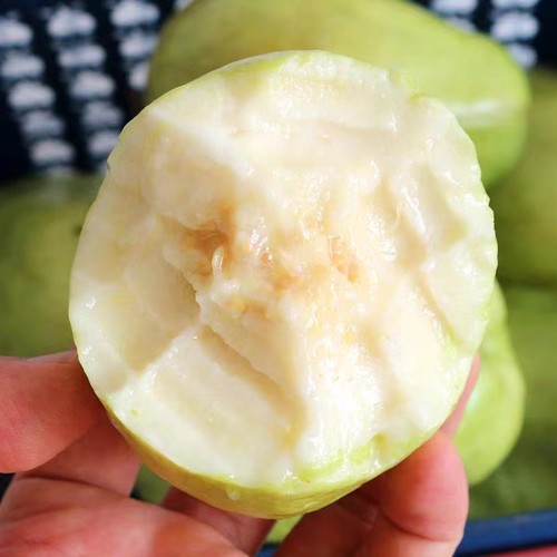 新鲜白心芭乐当季水果