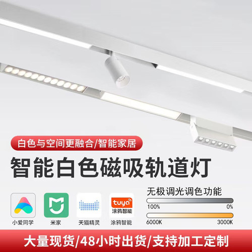 白色LED磁吸轨道灯智能调光调色