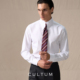 鲁泰DP免烫纯棉 CULTUM男款 衬衣长尖领商务正装 长袖 抗皱衬衫