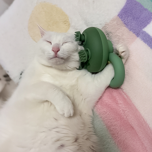 宠物头部按摩仪器电动按摩仪撸猫梳毛神器狗狗痒痒挠灵魂提取器