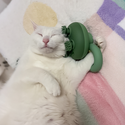 宠物头部按摩仪器电动按摩仪撸猫梳毛神器狗狗痒痒挠灵魂提取器