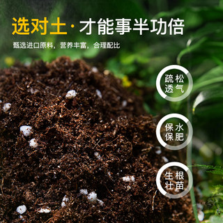 双心营养土养花通用型家用有机种菜专用多肉兰花育苗绿萝椰糠土壤