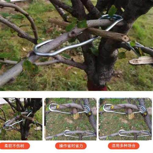 果树拉枝器 弹簧钢拉枝神器 弯枝 别 折枝 开角器 定型器 压枝器