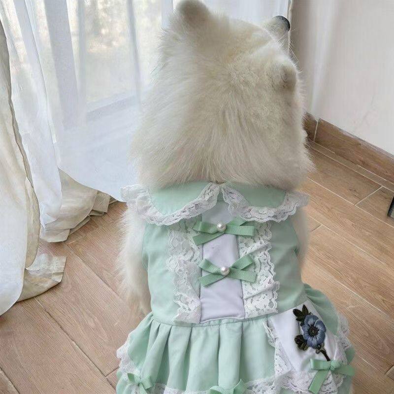 新款衣服2026宠物狗狗可爱裙子大中小型犬萨摩耶拉布拉多拍摄裙子